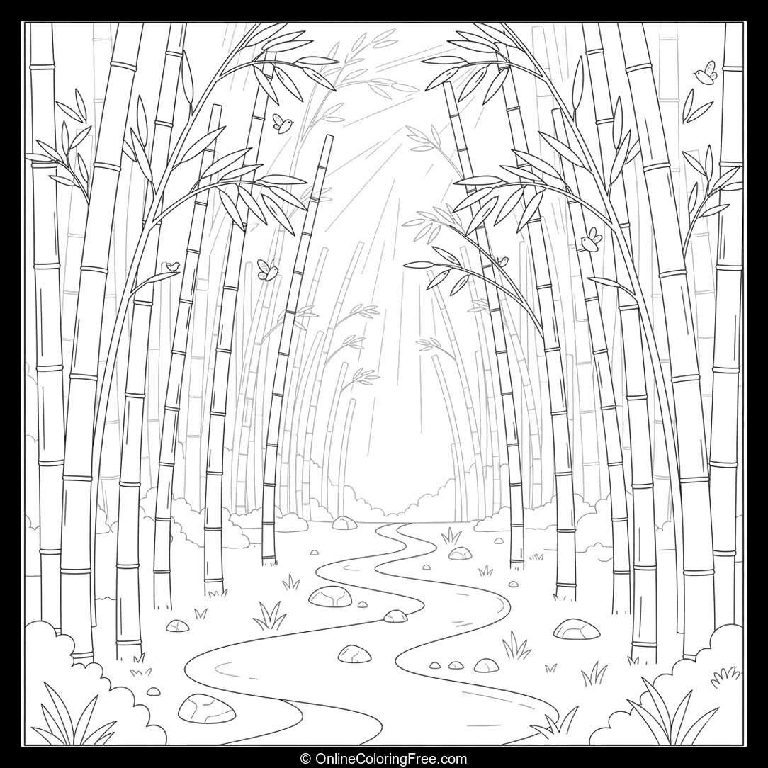 Bamboo Forest With Pathway