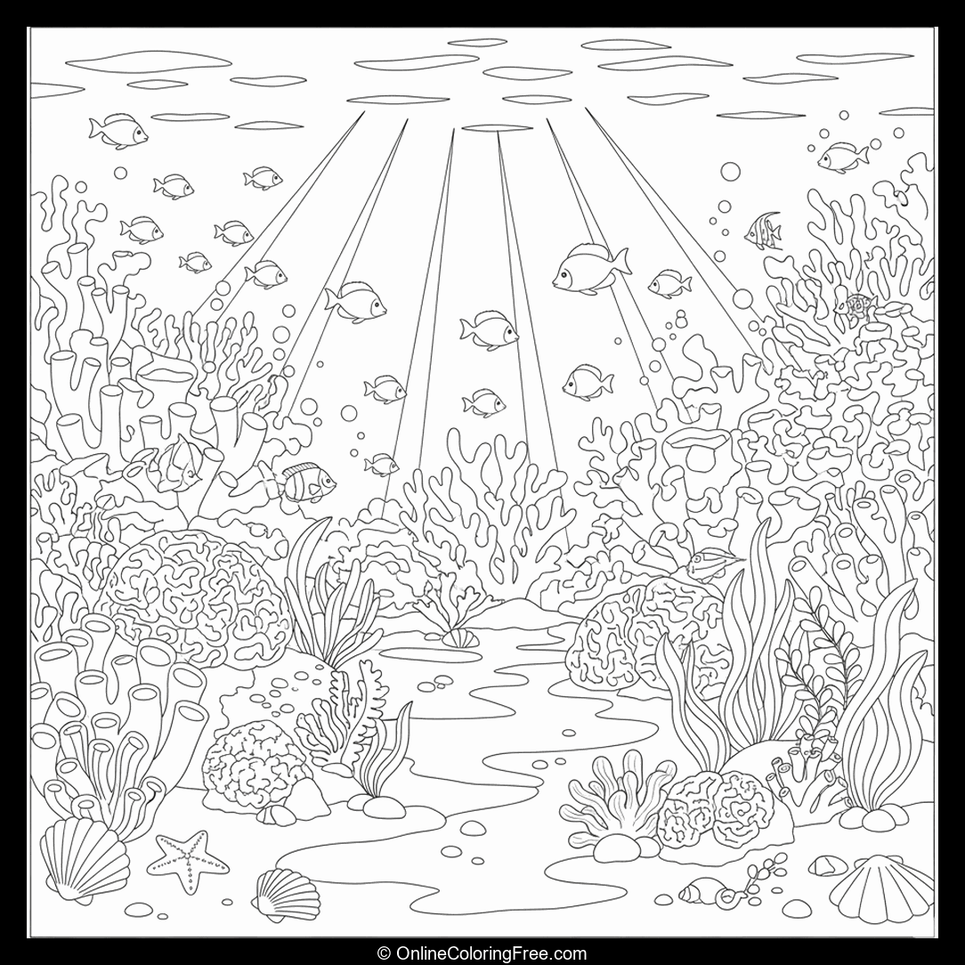 Coral Reef Underwater