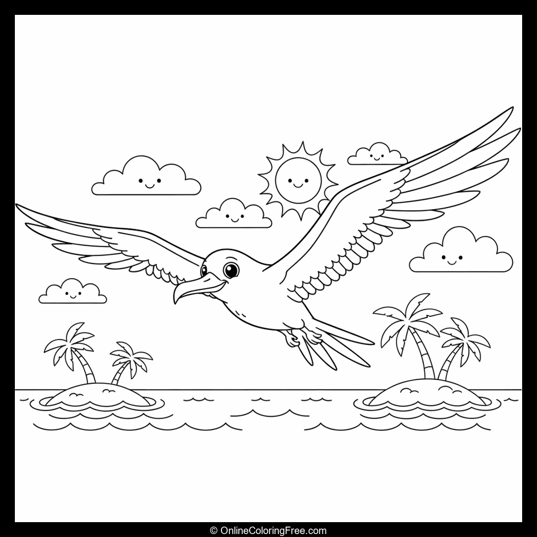 Frigatebird