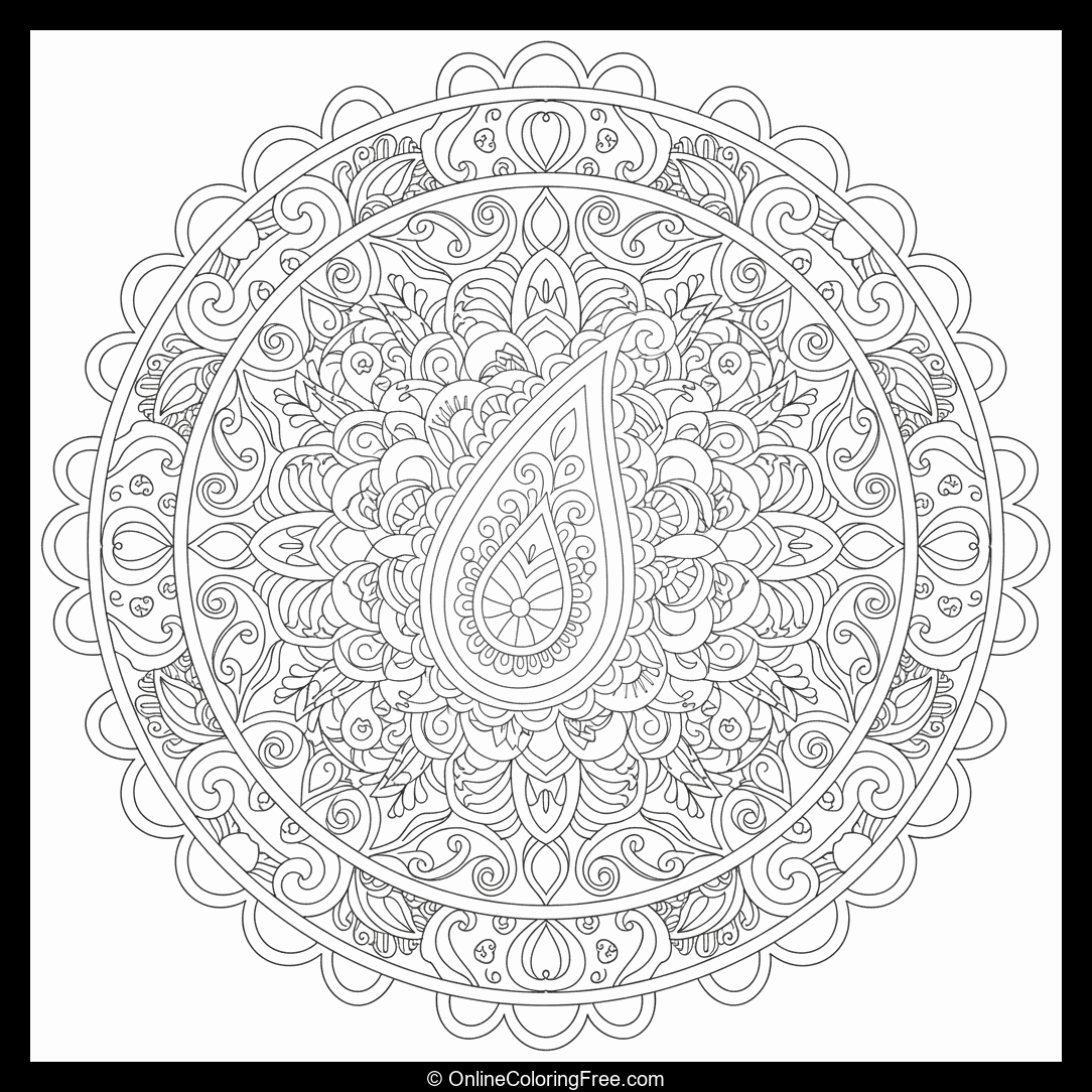Mandala with Paisley Patterns