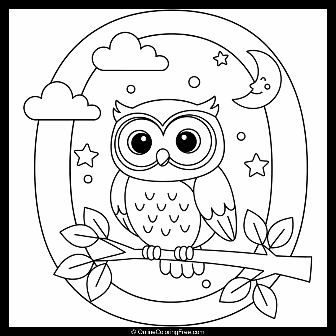 O for Owl