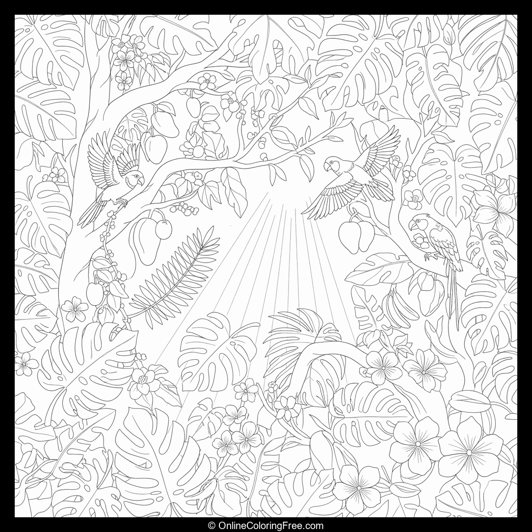 Rainforest Canopy With Birds